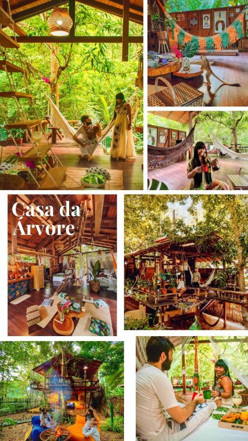 Casa Da Arvore, Sonho Na Amazonia, 2Min A Pe Da Praia 阿尔特杜尚 外观 照片